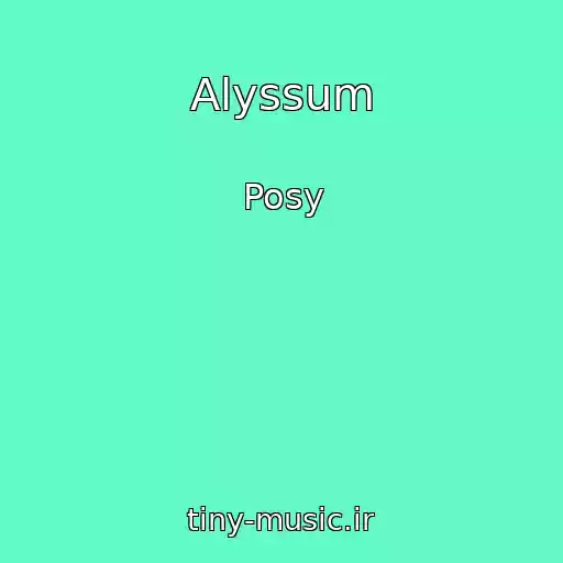کاور آهنگ Alyssum از Posy
