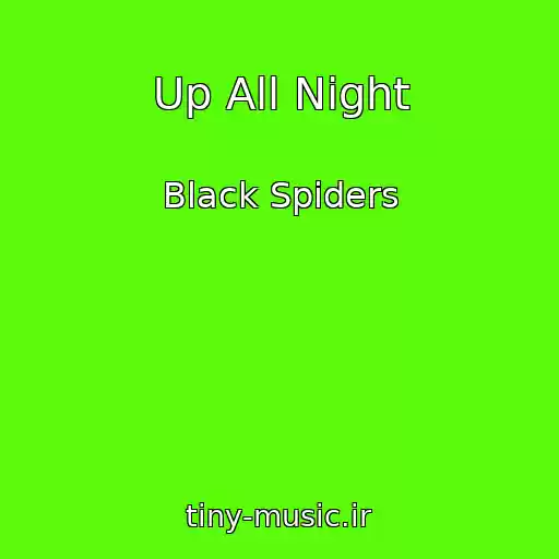 کاور آهنگ Up All Night از Black Spiders