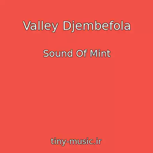 کاور آهنگ Valley Djembefola از Sound Of Mint