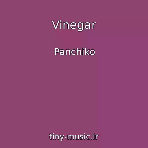 کاور آهنگ Vinegar از Panchiko