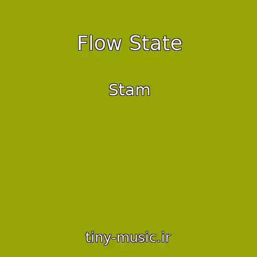 کاور آهنگ Flow State از Stam