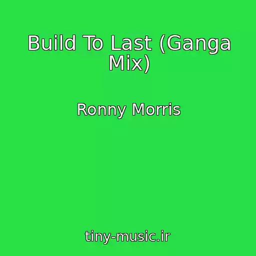 کاور آهنگ Build To Last (Ganga Mix) از Ronny Morris