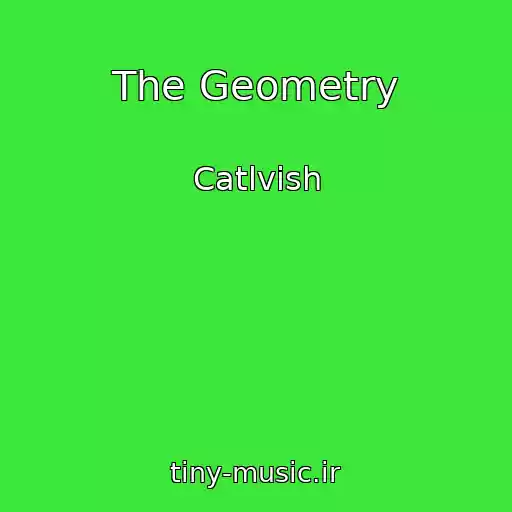 کاور آهنگ The Geometry از Catlvish