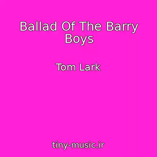 کاور آهنگ Ballad Of The Barry Boys از Tom Lark