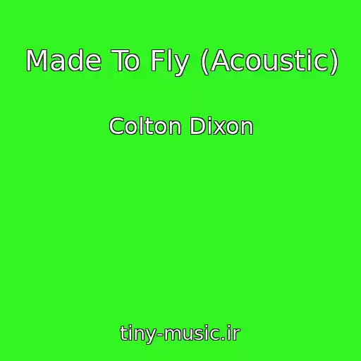 کاور آهنگ Made To Fly (Acoustic) از Colton Dixon
