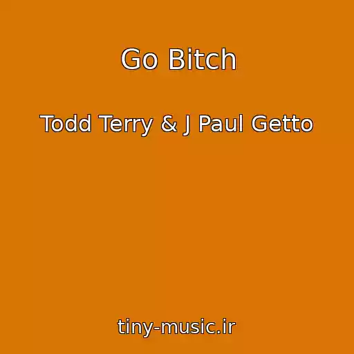 کاور آهنگ Go Bitch از Todd Terry & J Paul Getto