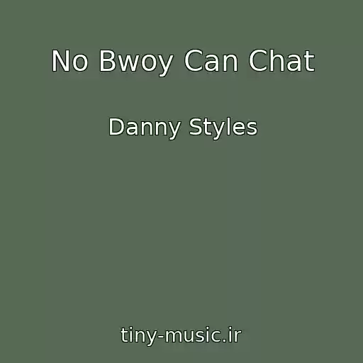 کاور آهنگ No Bwoy Can Chat از Danny Styles