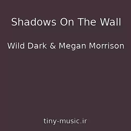 کاور آهنگ Shadows On The Wall از Wild Dark & Megan Morrison