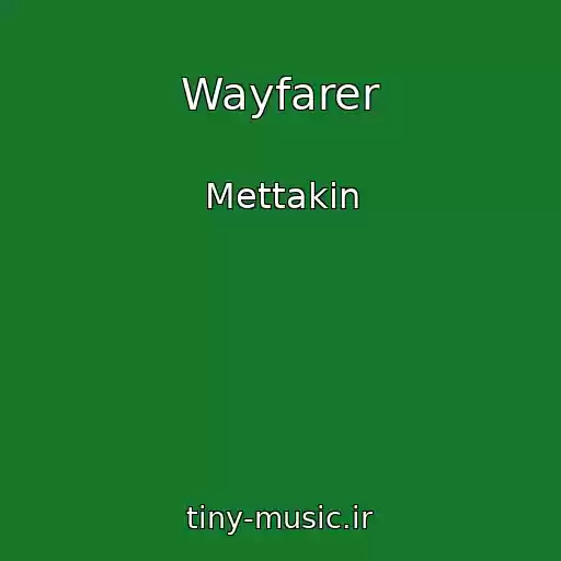 کاور آهنگ Wayfarer از Mettakin