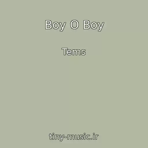 کاور آهنگ Boy O Boy از Tems