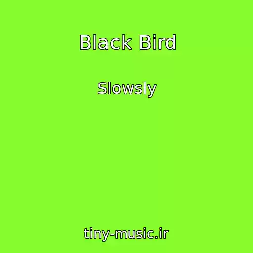 کاور آهنگ Black Bird از Slowsly