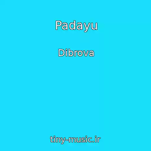 کاور آهنگ Padayu از Dibrova