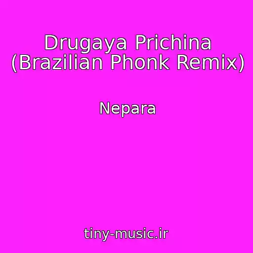 کاور آهنگ Drugaya Prichina (Brazilian Phonk Remix) از Nepara