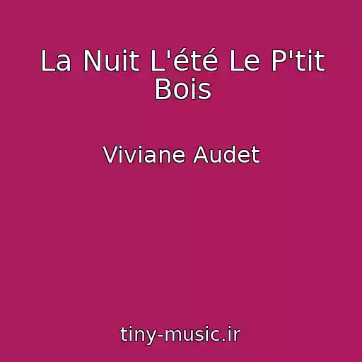 کاور آهنگ La Nuit L'été Le P'tit Bois از Viviane Audet