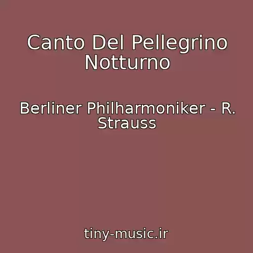 کاور آهنگ Canto Del Pellegrino Notturno از Berliner Philharmoniker - R. Strauss