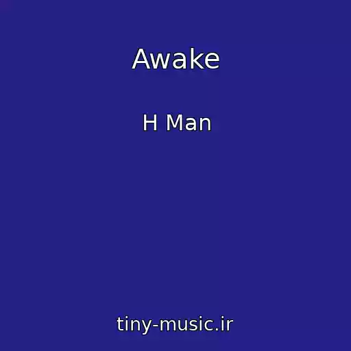 کاور آهنگ Awake از H Man