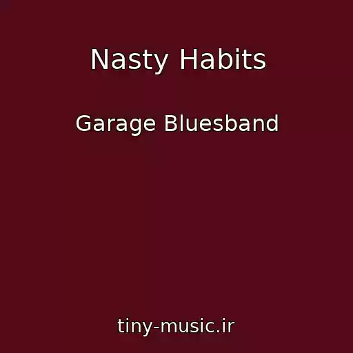 کاور آهنگ Nasty Habits از Garage Bluesband