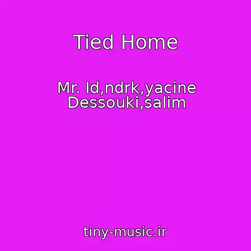 کاور آهنگ Tied Home از Mr. Id,ndrk,yacine Dessouki,salim