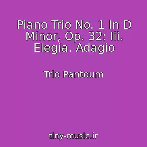 کاور آهنگ Piano Trio No. 1 In D Minor, Op. 32: Iii. Elegia. Adagio از Trio Pantoum