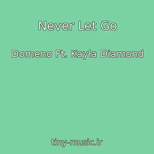 کاور آهنگ Never Let Go از Domeno Ft. Kayla Diamond