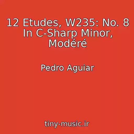 کاور آهنگ 12 Etudes, W235: No. 8 In C-Sharp Minor, Modéré از Pedro Aguiar