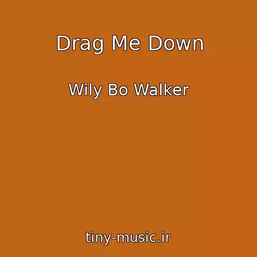 کاور آهنگ Drag Me Down از Wily Bo Walker