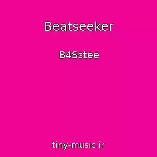 کاور آهنگ Beatseeker از B4Sstee
