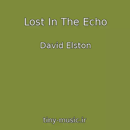 کاور آهنگ Lost In The Echo از David Elston