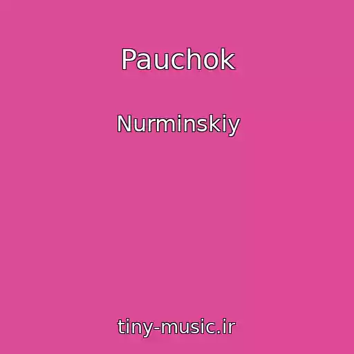 کاور آهنگ Pauchok از Nurminskiy
