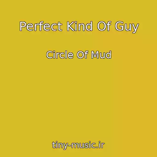کاور آهنگ Perfect Kind Of Guy از Circle Of Mud