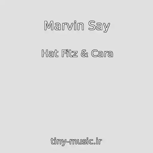 کاور آهنگ Marvin Say از Hat Fitz & Cara