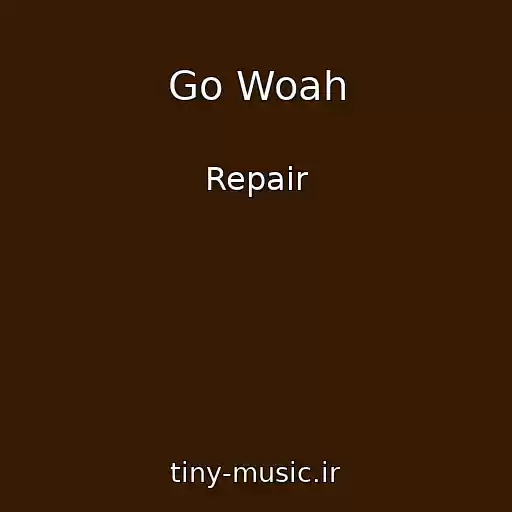 کاور آهنگ Go Woah از Repair