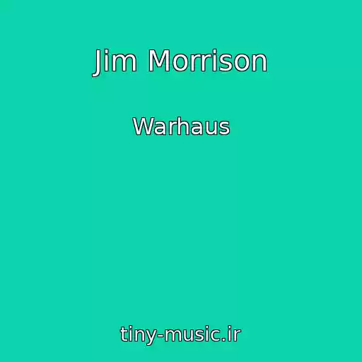کاور آهنگ Jim Morrison از Warhaus