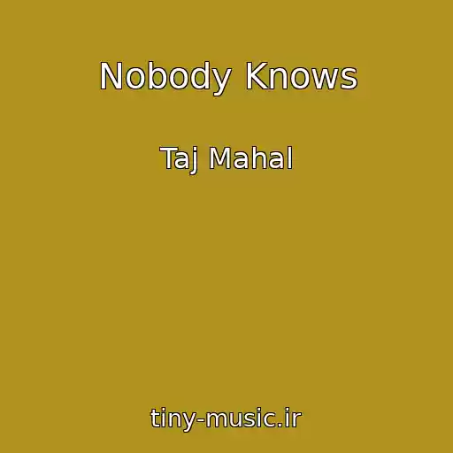 کاور آهنگ Nobody Knows از Taj Mahal