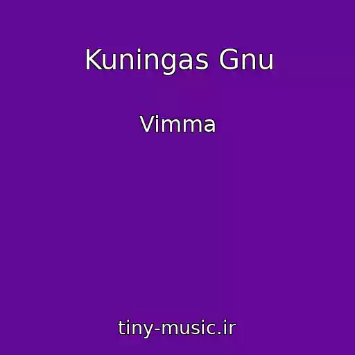 کاور آهنگ Kuningas Gnu از Vimma