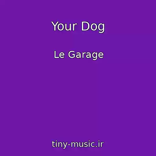 کاور آهنگ Your Dog از Le Garage
