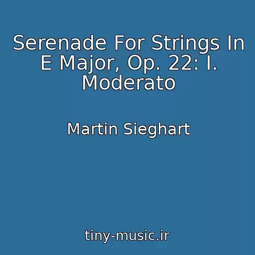 کاور آهنگ Serenade For Strings In E Major, Op. 22: I. Moderato از Martin Sieghart