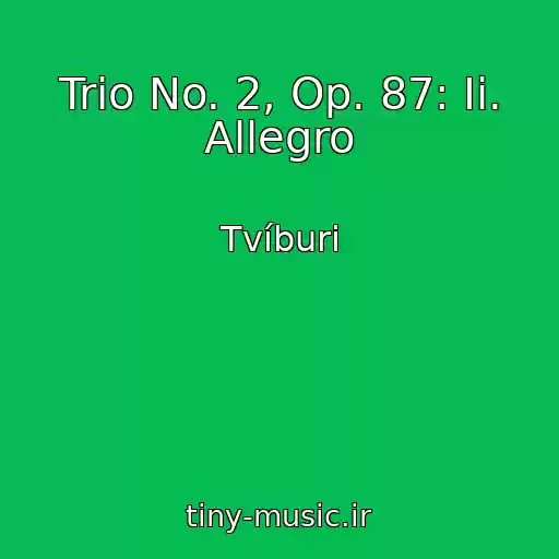 کاور آهنگ Trio No. 2, Op. 87: Ii. Allegro از Tvíburi