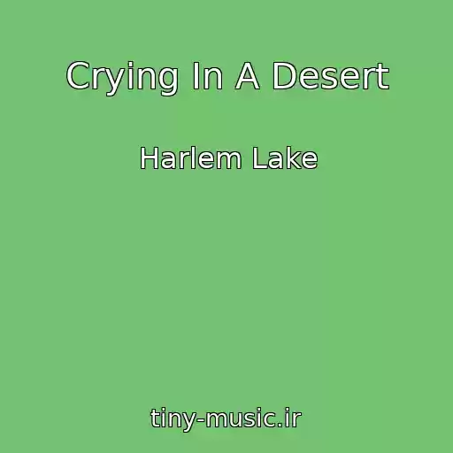 کاور آهنگ Crying In A Desert از Harlem Lake