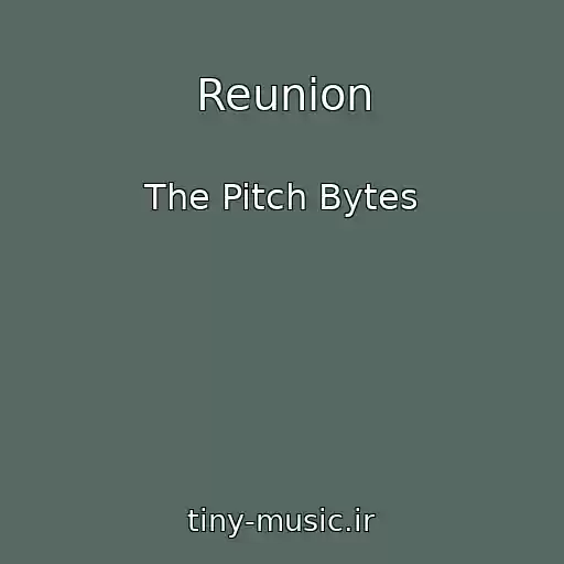 کاور آهنگ Reunion از The Pitch Bytes