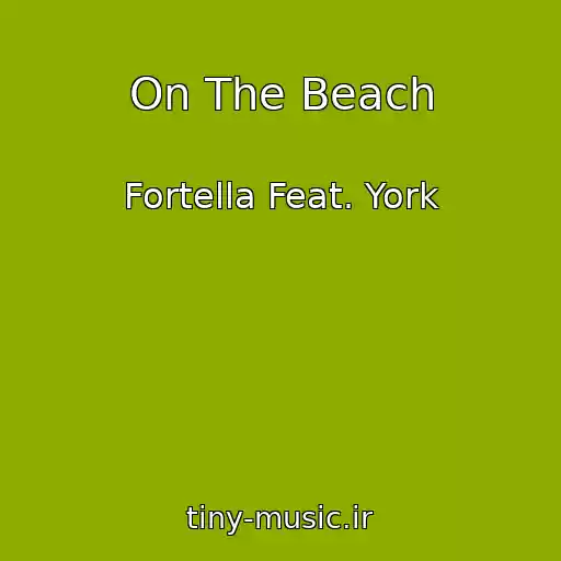 کاور آهنگ On The Beach از Fortella Feat. York