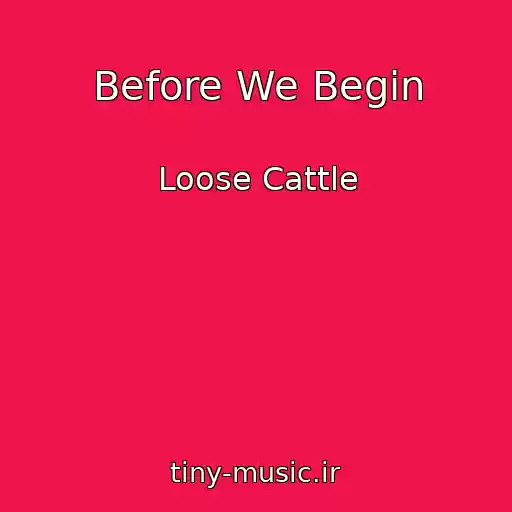 کاور آهنگ Before We Begin از Loose Cattle