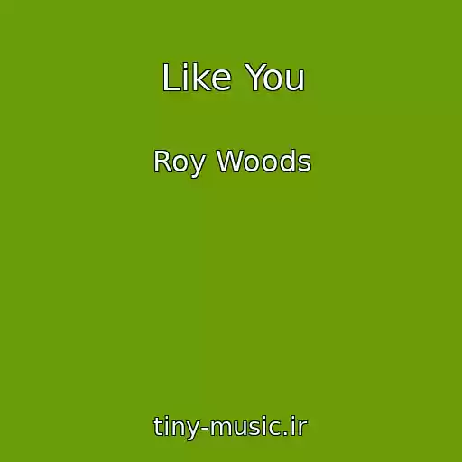 کاور آهنگ Like You از Roy Woods