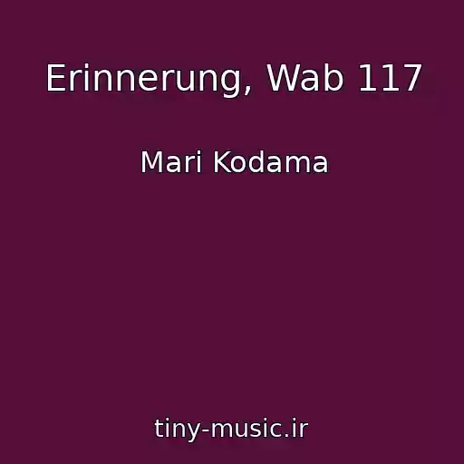 کاور آهنگ Erinnerung, Wab 117 از Mari Kodama
