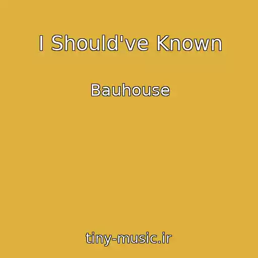 کاور آهنگ I Should've Known از Bauhouse