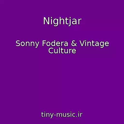 کاور آهنگ Nightjar از Sonny Fodera & Vintage Culture
