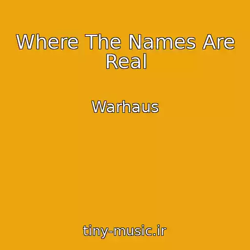 کاور آهنگ Where The Names Are Real از Warhaus