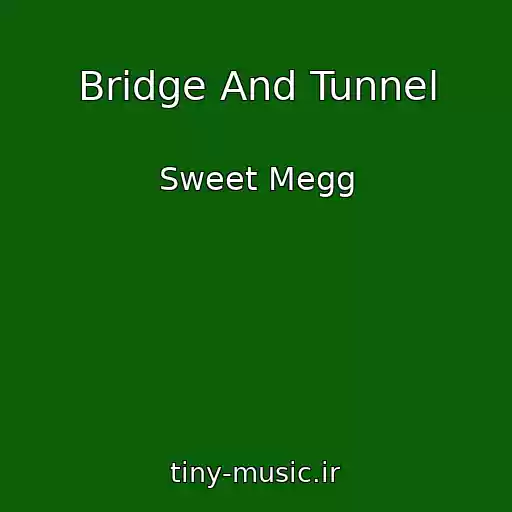 کاور آهنگ Bridge And Tunnel از Sweet Megg