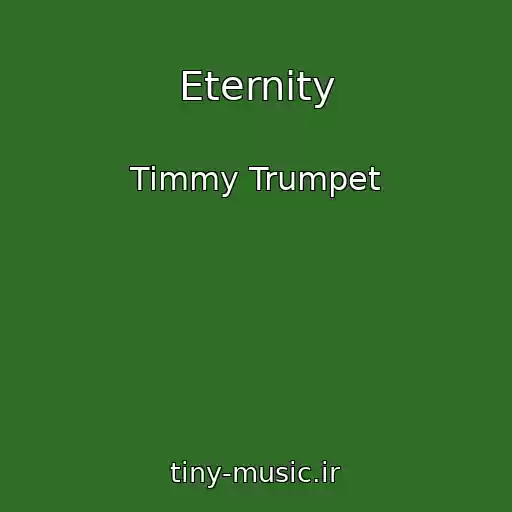 کاور آهنگ Eternity از Timmy Trumpet