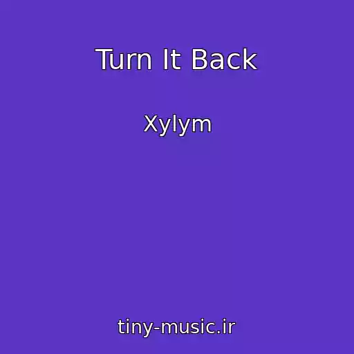 کاور آهنگ Turn It Back از Xylym